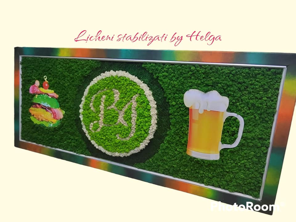 Logo + Casete luminoase SPE