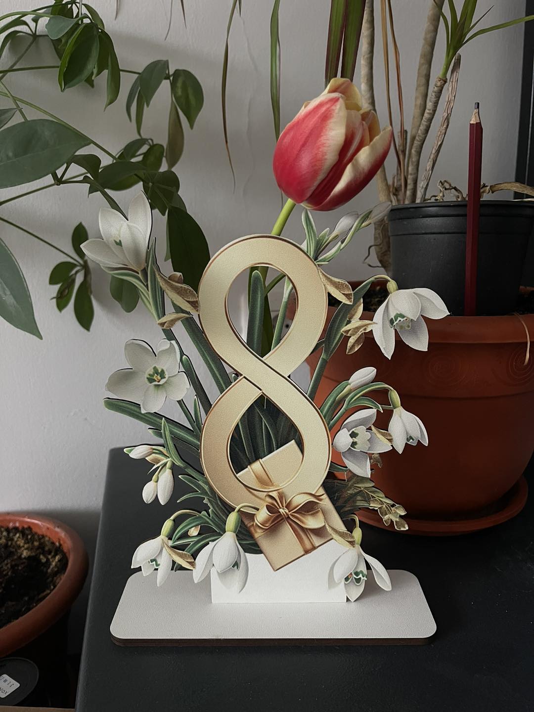 Blank licheni 8 martie - V192