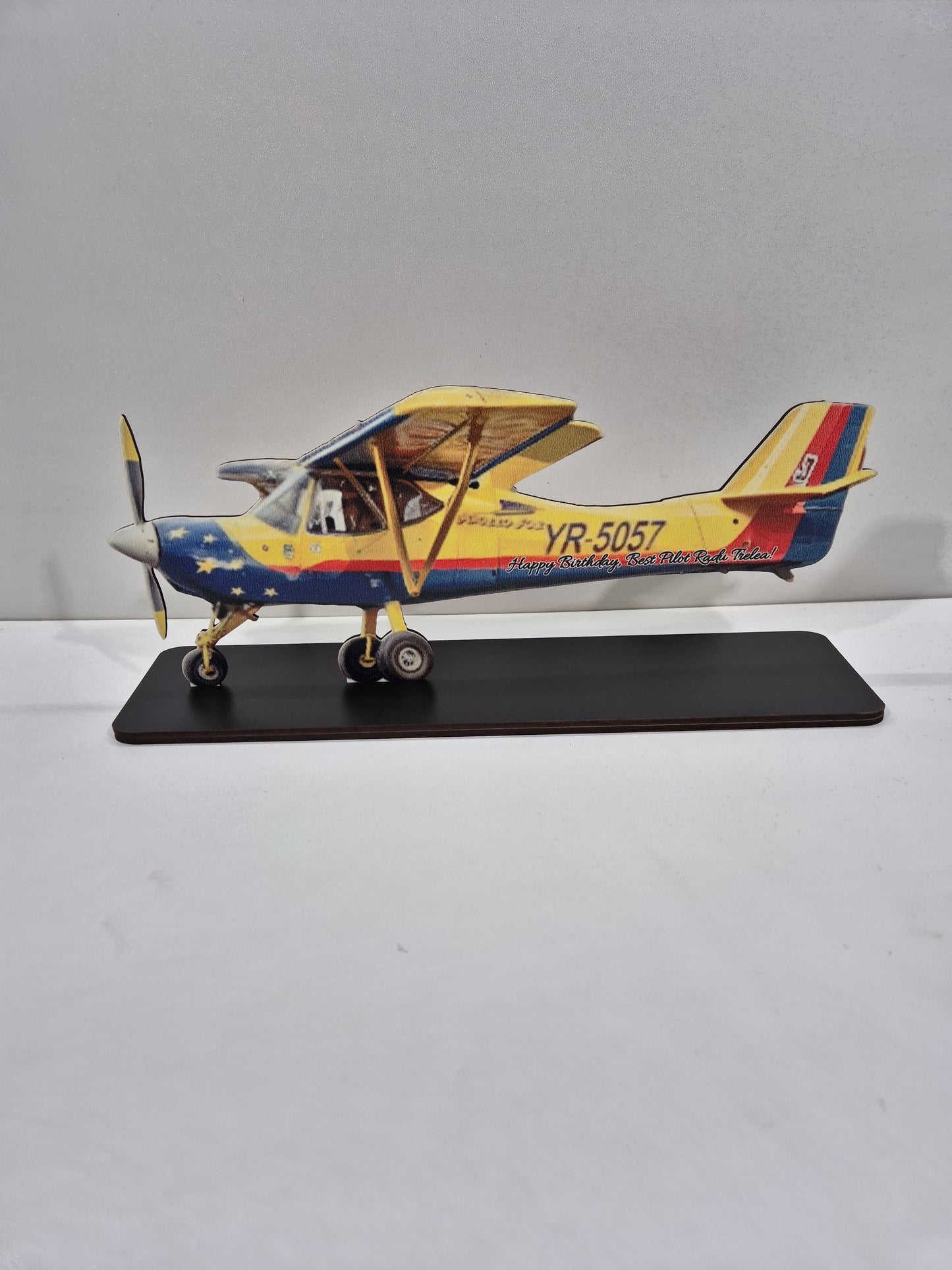 Trofeul Aviatie Personalizat TAP